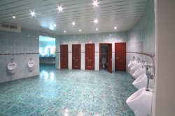 Особенности проектирования вытяжных систем для туалетов